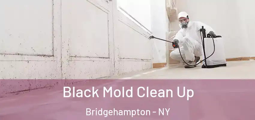 Black Mold Clean Up Bridgehampton - NY