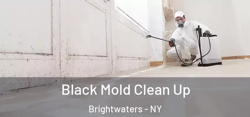  Black Mold Clean Up Brightwaters - NY