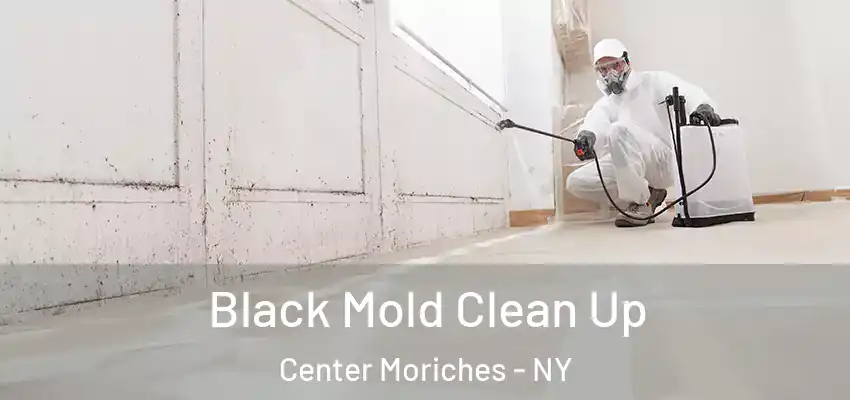  Black Mold Clean Up Center Moriches - NY