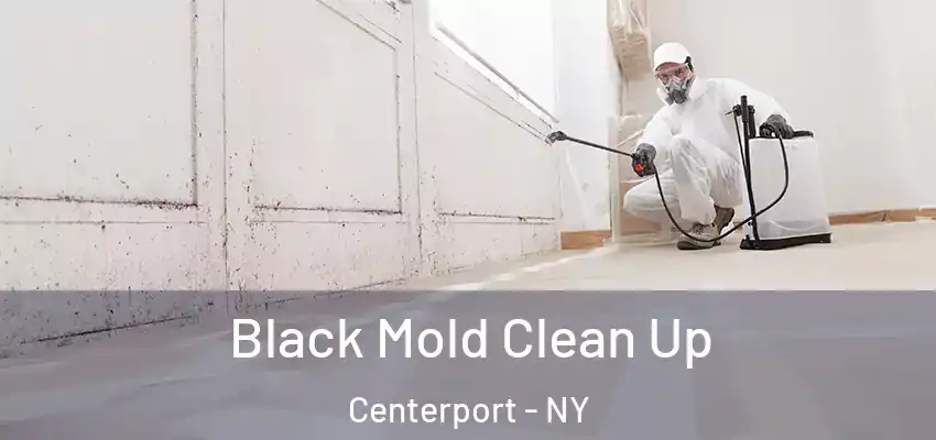  Black Mold Clean Up Centerport - NY