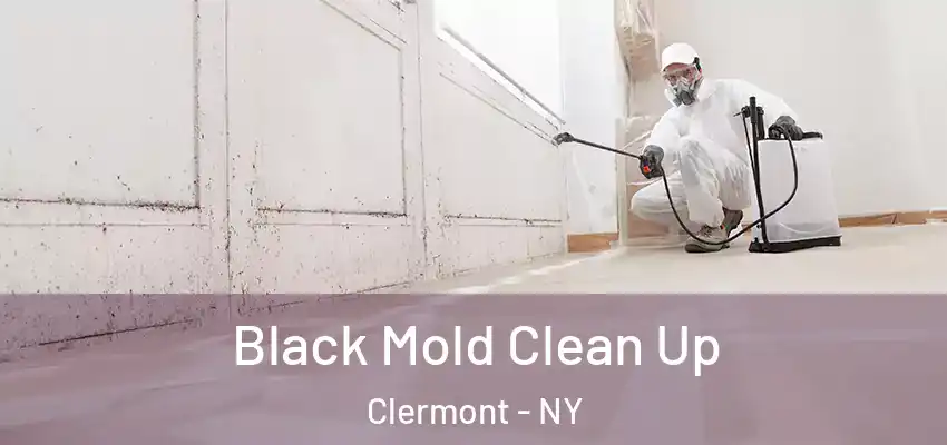 Black Mold Clean Up Clermont - NY