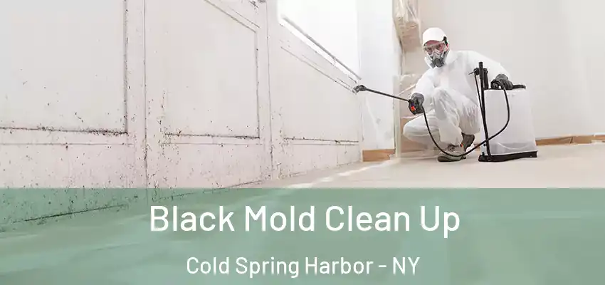 Black Mold Clean Up Cold Spring Harbor - NY