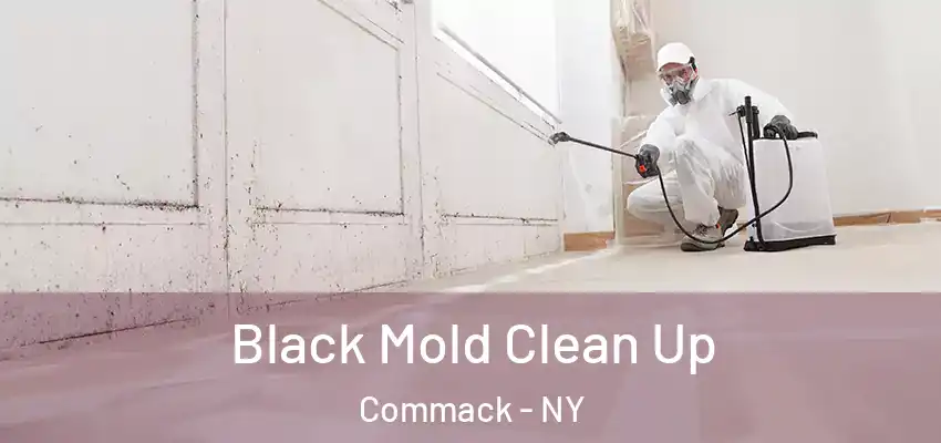 Black Mold Clean Up Commack - NY