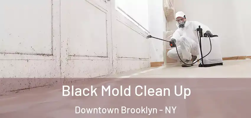  Black Mold Clean Up Downtown Brooklyn - NY