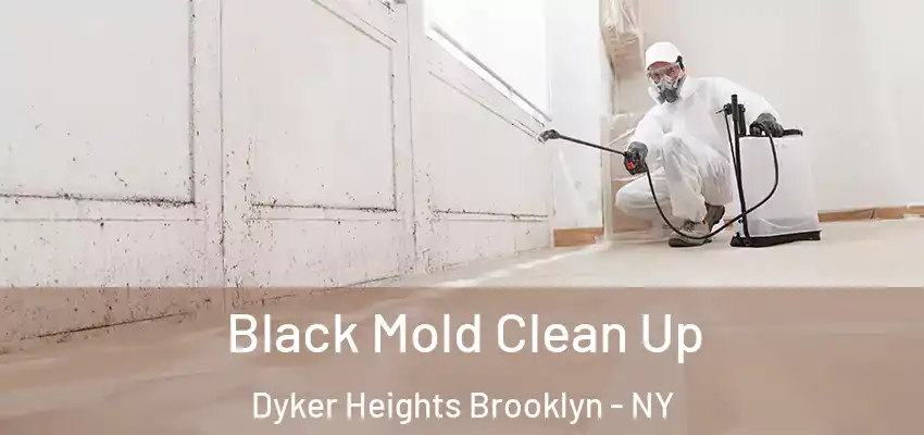  Black Mold Clean Up Dyker Heights Brooklyn - NY