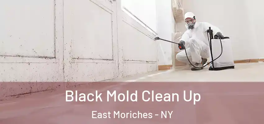  Black Mold Clean Up East Moriches - NY