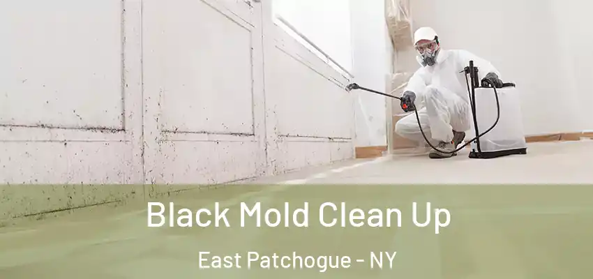 Black Mold Clean Up East Patchogue - NY