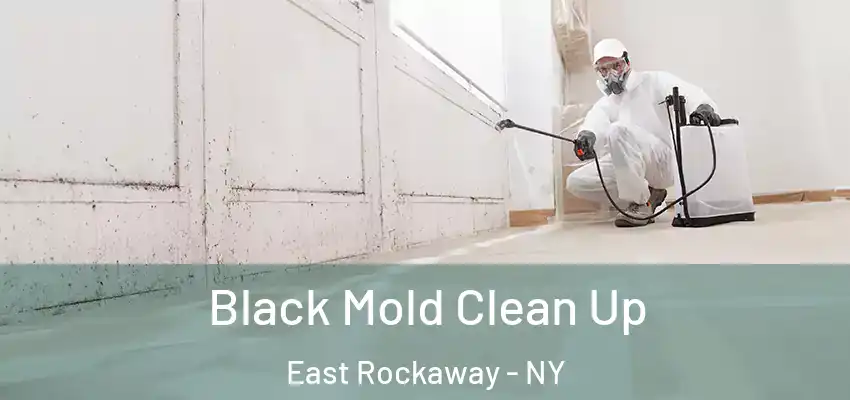 Black Mold Clean Up East Rockaway - NY