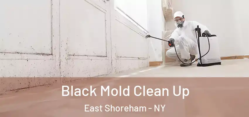  Black Mold Clean Up East Shoreham - NY
