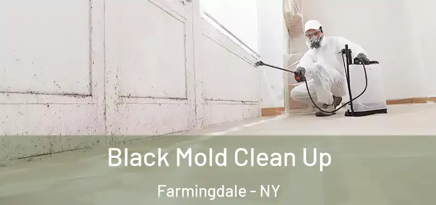 Black Mold Clean Up Farmingdale - NY