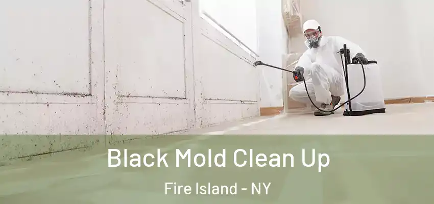  Black Mold Clean Up Fire Island - NY