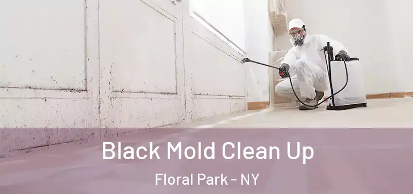  Black Mold Clean Up Floral Park - NY