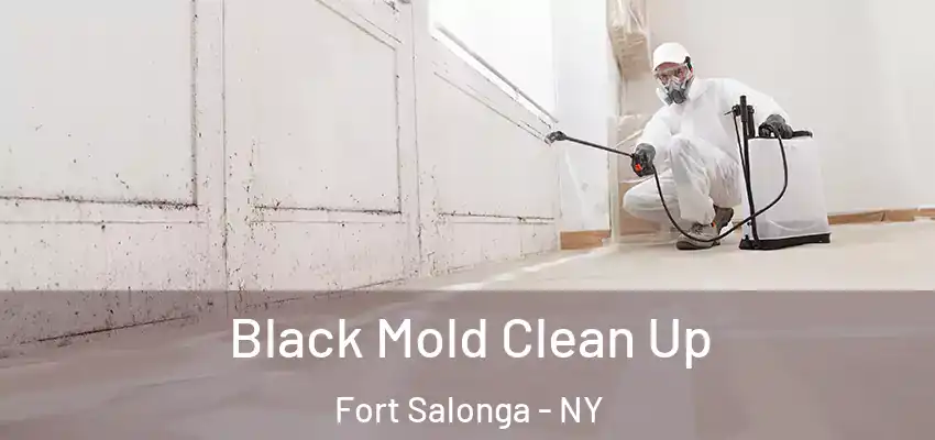  Black Mold Clean Up Fort Salonga - NY