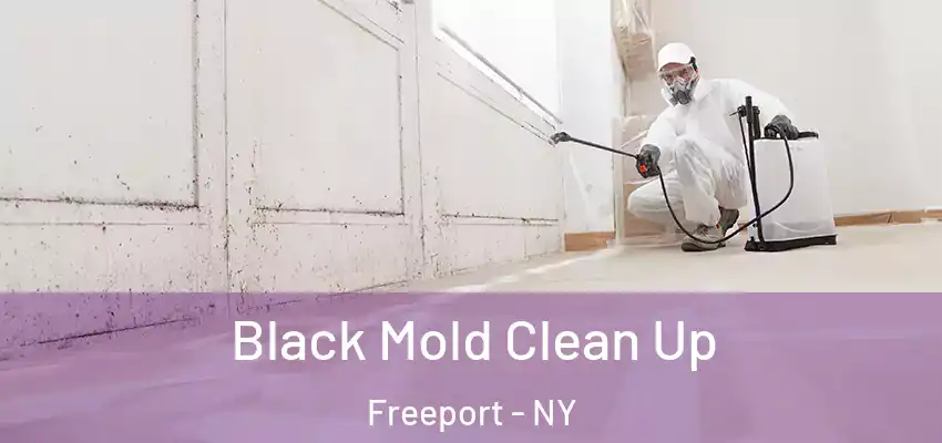 Black Mold Clean Up Freeport - NY