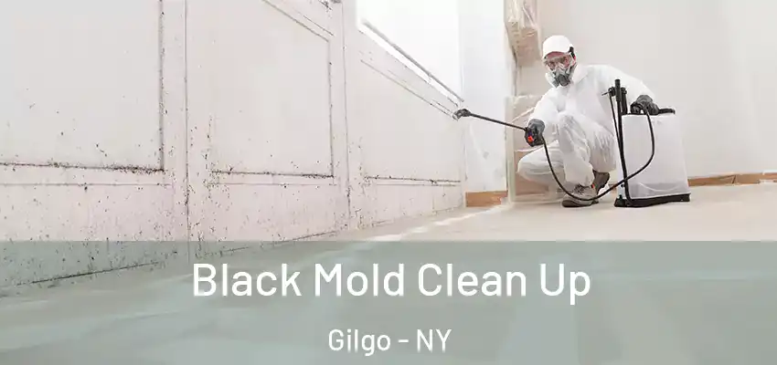  Black Mold Clean Up Gilgo - NY