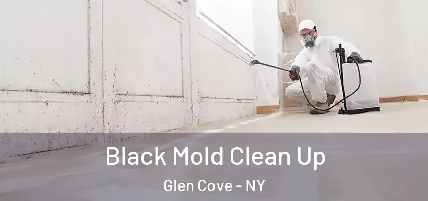  Black Mold Clean Up Glen Cove - NY