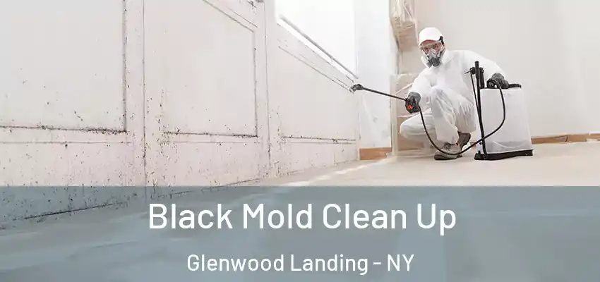  Black Mold Clean Up Glenwood Landing - NY