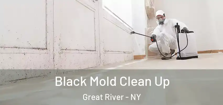  Black Mold Clean Up Great River - NY