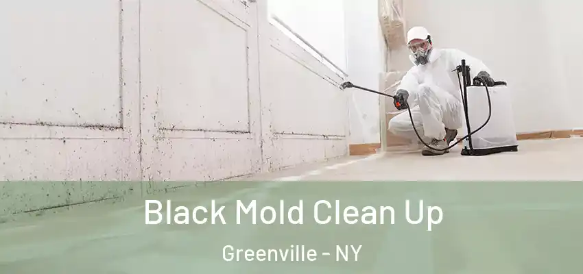  Black Mold Clean Up Greenville - NY