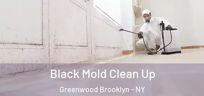  Black Mold Clean Up Greenwood Brooklyn - NY