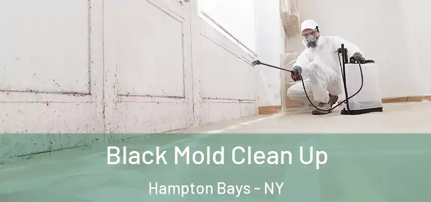 Black Mold Clean Up Hampton Bays - NY