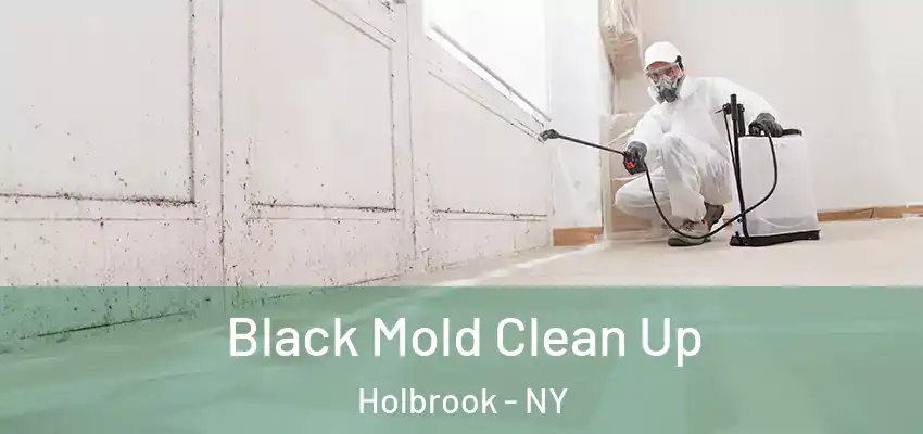  Black Mold Clean Up Holbrook - NY