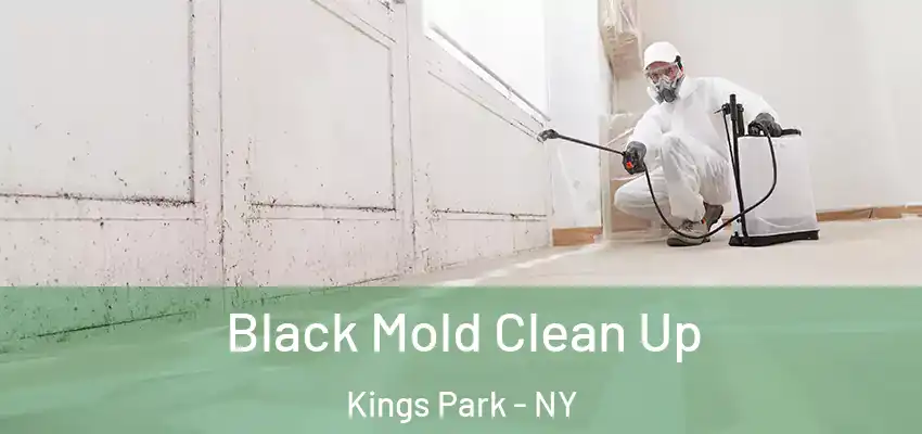  Black Mold Clean Up Kings Park - NY