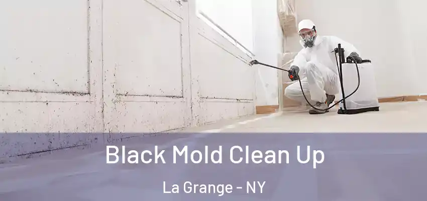 Black Mold Clean Up La Grange - NY