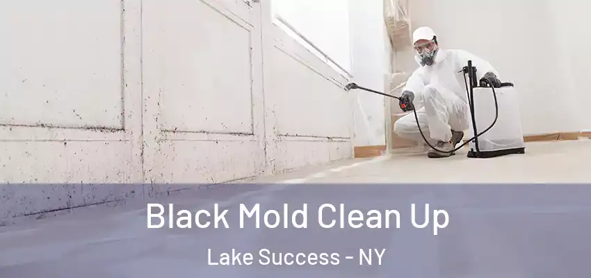 Black Mold Clean Up Lake Success - NY