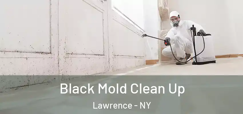 Black Mold Clean Up Lawrence - NY