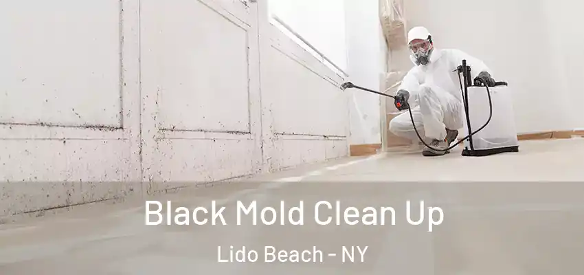 Black Mold Clean Up Lido Beach - NY