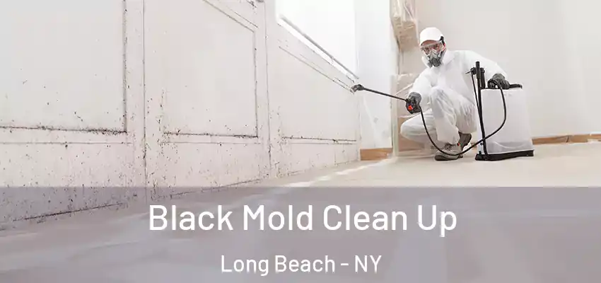  Black Mold Clean Up Long Beach - NY