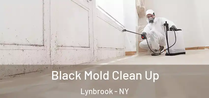 Black Mold Clean Up Lynbrook - NY