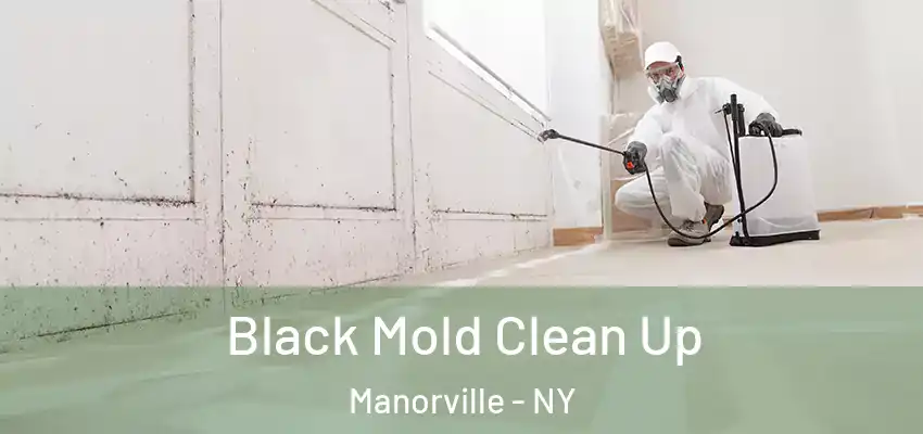  Black Mold Clean Up Manorville - NY