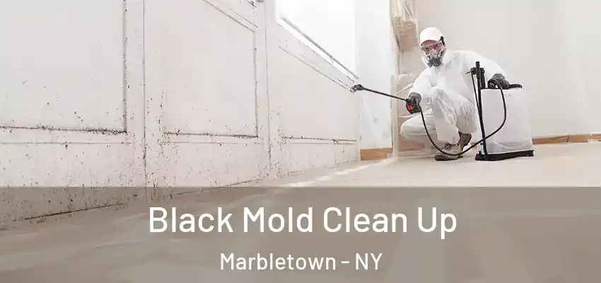 Black Mold Clean Up Marbletown - NY