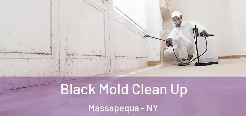  Black Mold Clean Up Massapequa - NY