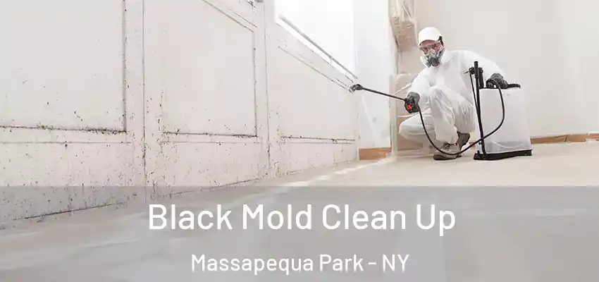  Black Mold Clean Up Massapequa Park - NY