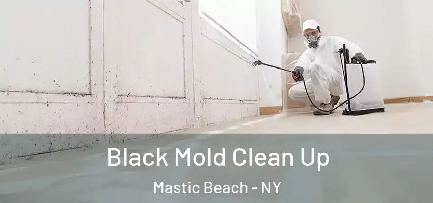  Black Mold Clean Up Mastic Beach - NY