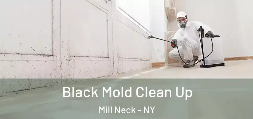 Black Mold Clean Up Mill Neck - NY