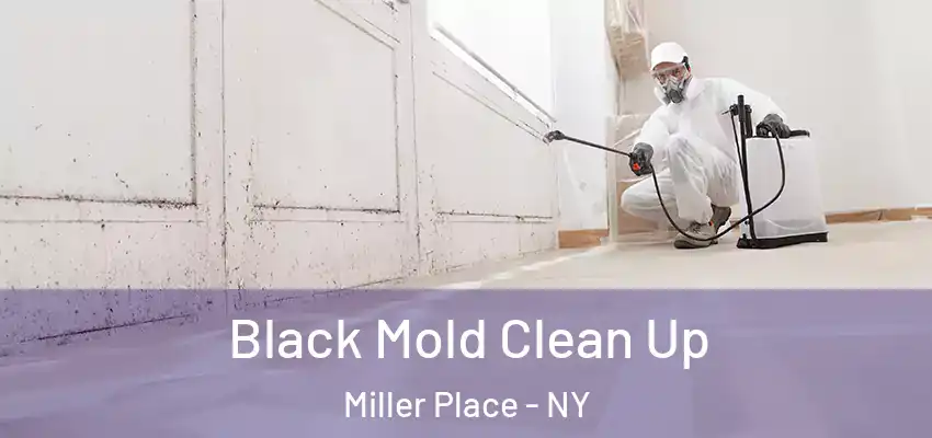  Black Mold Clean Up Miller Place - NY