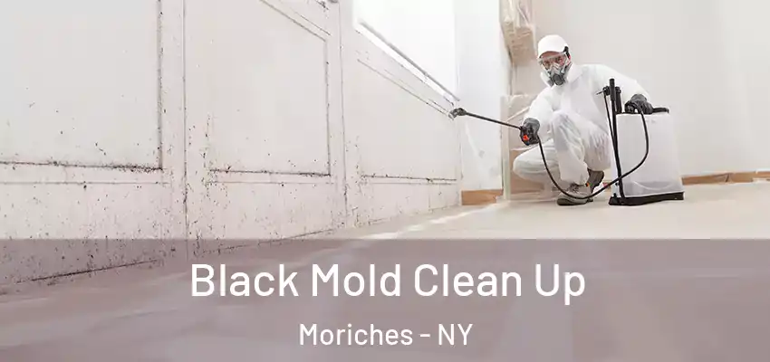  Black Mold Clean Up Moriches - NY