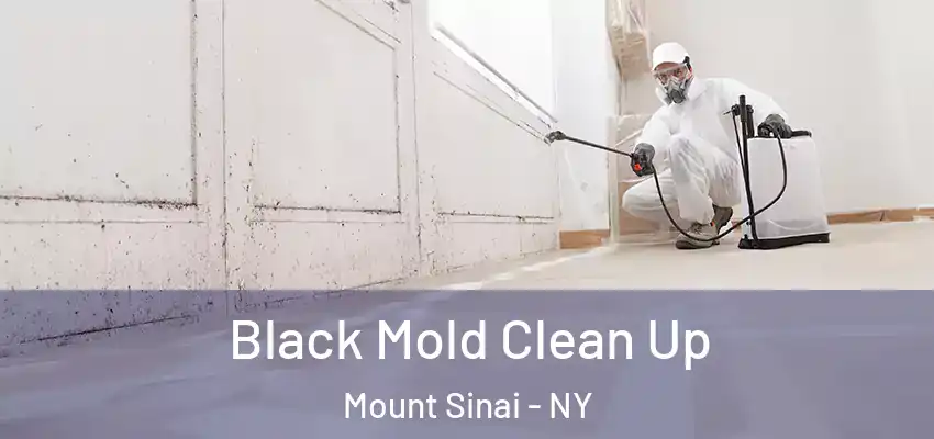  Black Mold Clean Up Mount Sinai - NY