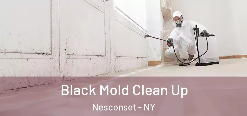 Black Mold Clean Up Nesconset - NY
