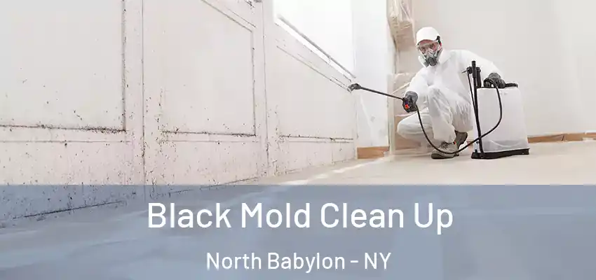 Black Mold Clean Up North Babylon - NY