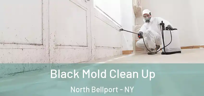  Black Mold Clean Up North Bellport - NY