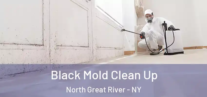  Black Mold Clean Up North Great River - NY