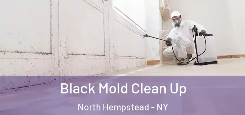  Black Mold Clean Up North Hempstead - NY