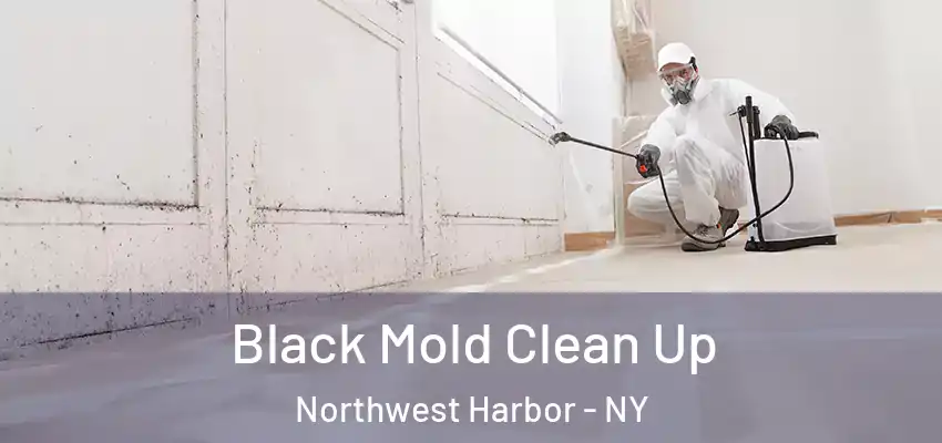  Black Mold Clean Up Northwest Harbor - NY