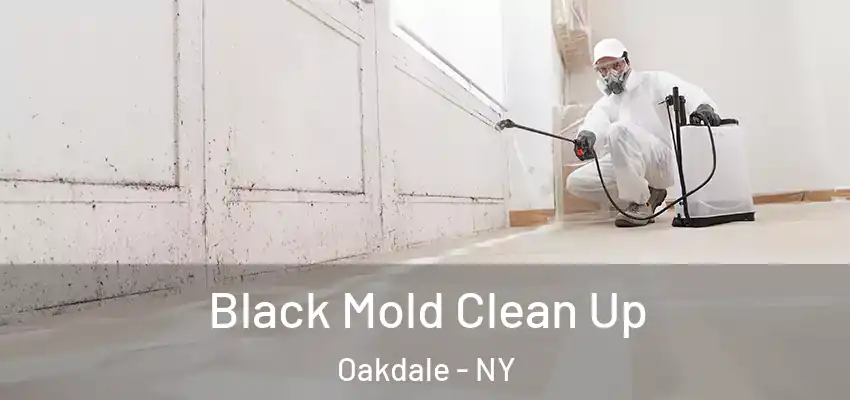  Black Mold Clean Up Oakdale - NY