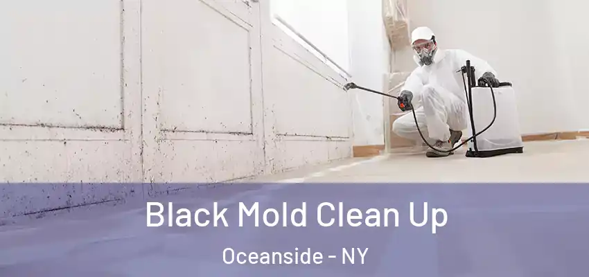 Black Mold Clean Up Oceanside - NY
